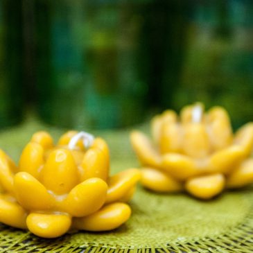 beeswax water lily candle for fengshui at home